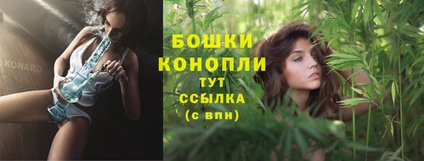 сатива Богородицк