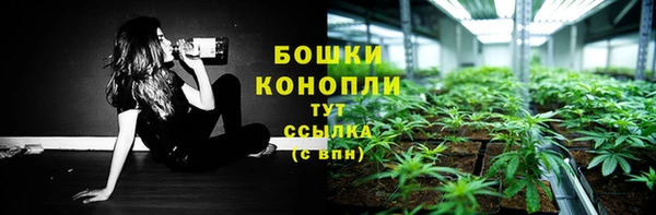 сатива Богородицк