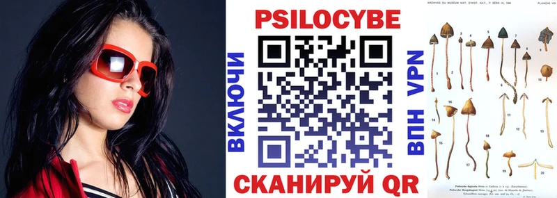 Псилоцибиновые грибы Psilocybine cubensis  Могоча 